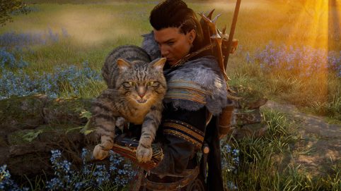 How to find all Evreux cats in Assassin’s Creed Valhalla Guide